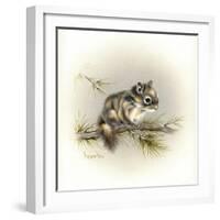 Tattle-Tail Baby-Peggy Harris-Framed Giclee Print