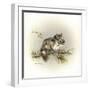 Tattle-Tail Baby-Peggy Harris-Framed Giclee Print