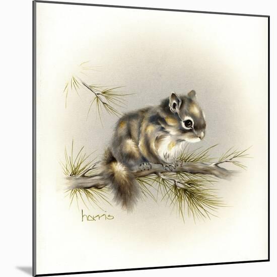 Tattle-Tail Baby-Peggy Harris-Mounted Giclee Print