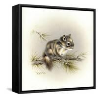 Tattle-Tail Baby-Peggy Harris-Framed Stretched Canvas