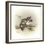 Tattle-Tail Baby-Peggy Harris-Framed Giclee Print