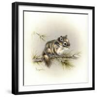 Tattle-Tail Baby-Peggy Harris-Framed Giclee Print