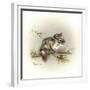 Tattle-Tail Baby-Peggy Harris-Framed Giclee Print