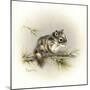 Tattle-Tail Baby-Peggy Harris-Mounted Giclee Print