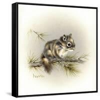 Tattle-Tail Baby-Peggy Harris-Framed Stretched Canvas