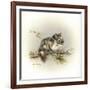 Tattle-Tail Baby-Peggy Harris-Framed Giclee Print