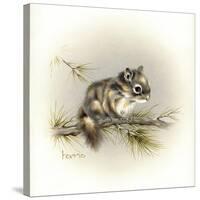 Tattle-Tail Baby-Peggy Harris-Stretched Canvas