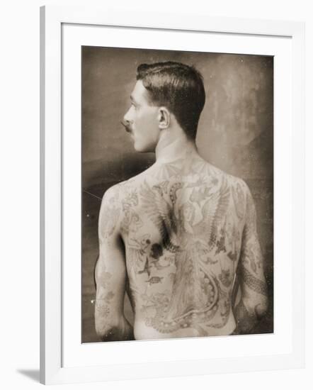 Tattoed British Sailor During the Great War of 1914-18 (Back View)-null-Framed Photographic Print