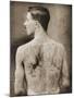 Tattoed British Sailor During the Great War of 1914-18 (Back View)-null-Mounted Photographic Print