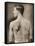 Tattoed British Sailor During the Great War of 1914-18 (Back View)-null-Framed Stretched Canvas