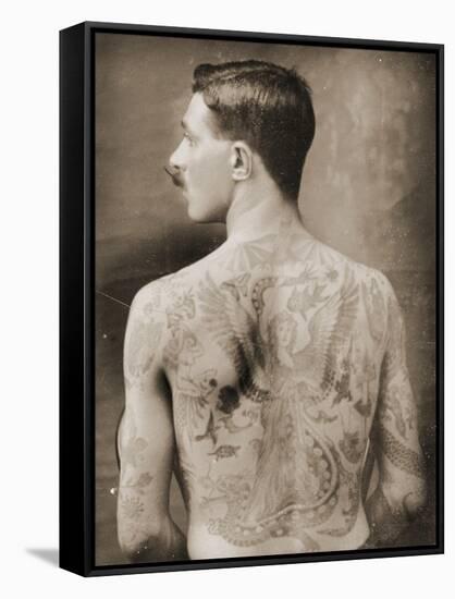 Tattoed British Sailor During the Great War of 1914-18 (Back View)-null-Framed Stretched Canvas