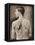 Tattoed British Sailor During the Great War of 1914-18 (Back View)-null-Framed Stretched Canvas