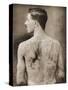 Tattoed British Sailor During the Great War of 1914-18 (Back View)-null-Stretched Canvas