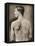 Tattoed British Sailor During the Great War of 1914-18 (Back View)-null-Framed Stretched Canvas