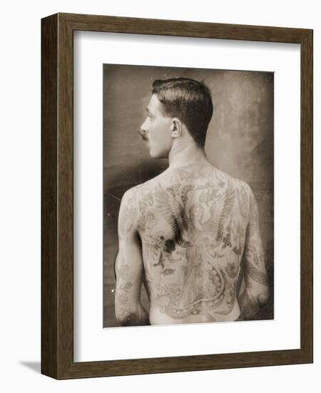 Tattoed British Sailor During the Great War of 1914-18 (Back View)-null-Framed Photographic Print