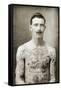 Tattoed British Sailor During the Great War of 1914-18 (Front View)-null-Framed Stretched Canvas