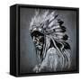 Tattoo Art, Portrait Of American Indian Head Over Dark Background-outsiderzone-Framed Stretched Canvas