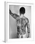 Tattoo Design of Peonies and Dragon on Back of Japanese Gambler-null-Framed Photographic Print