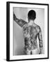 Tattoo Design of Peonies and Dragon on Back of Japanese Gambler-null-Framed Photographic Print