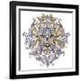 Tattoo, Graphics Head of A Lion with A Mane-Vensk-Framed Art Print