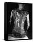 Tattoo of a Devil on Back of Japanese Gambler-null-Framed Stretched Canvas