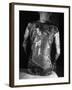 Tattoo of a Devil on Back of Japanese Gambler-null-Framed Photographic Print