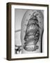 Tattoo of a Ship Being Displayed on Arm of a Us Sailor-Carl Mydans-Framed Photographic Print