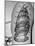 Tattoo of a Ship Being Displayed on Arm of a Us Sailor-Carl Mydans-Mounted Photographic Print