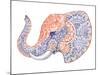 Tattoo Profile Elephant with Patterns and Ornaments-Vensk-Mounted Art Print