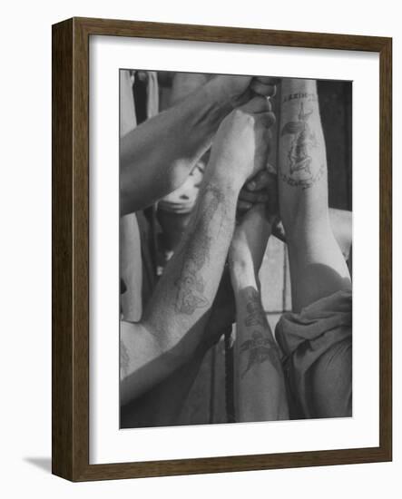 Tattooed Arms of Us Sailors on Minesweeper "Peacock", in Japanese Waters-John Dominis-Framed Photographic Print