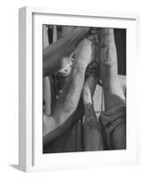 Tattooed Arms of Us Sailors on Minesweeper "Peacock", in Japanese Waters-John Dominis-Framed Photographic Print