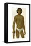 Tattooed Man from the Caroline Islands,1894-null-Framed Stretched Canvas