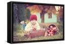 Framed Canvas