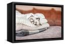 Canvas Black