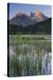 Taubensee (Lake), Hochkalter (Mountain), Berchtesgadener Land (District), Bavaria, Germany-Rainer Mirau-Stretched Canvas