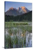 Taubensee (Lake), Hochkalter (Mountain), Berchtesgadener Land (District), Bavaria, Germany-Rainer Mirau-Stretched Canvas