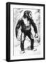 Taungs Ape-Man-null-Framed Giclee Print