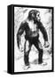 Taungs Ape-Man-null-Framed Stretched Canvas