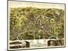 Taunton, Massachusetts - Panoramic Map-Lantern Press-Mounted Art Print