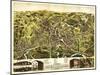 Taunton, Massachusetts - Panoramic Map-Lantern Press-Mounted Art Print