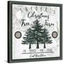 Taupe Christmas Sign I-Elizabeth Medley-Stretched Canvas