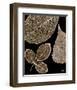 Taupe Trilogy-Julie Greenwood-Framed Art Print