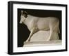 Taureau Apis provenant du Serapeum de Memphis-null-Framed Giclee Print