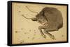 Taurus Constellation, Zodiac Sign, 1825-Science Source-Framed Stretched Canvas