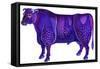 Taurus the Bull, 1996-Jane Tattersfield-Framed Stretched Canvas
