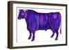 Taurus the Bull, 1996-Jane Tattersfield-Framed Giclee Print