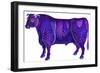 Taurus the Bull, 1996-Jane Tattersfield-Framed Giclee Print