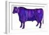 Taurus the Bull, 1996-Jane Tattersfield-Framed Giclee Print