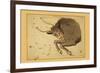 Taurus the Bull-Aspin Jehosaphat-Framed Premium Giclee Print