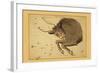 Taurus the Bull-Aspin Jehosaphat-Framed Art Print